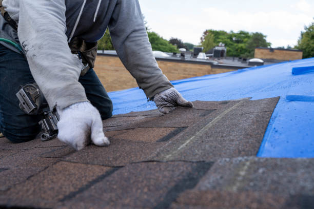 Best Roof Leak Repair  in Marysville, CA